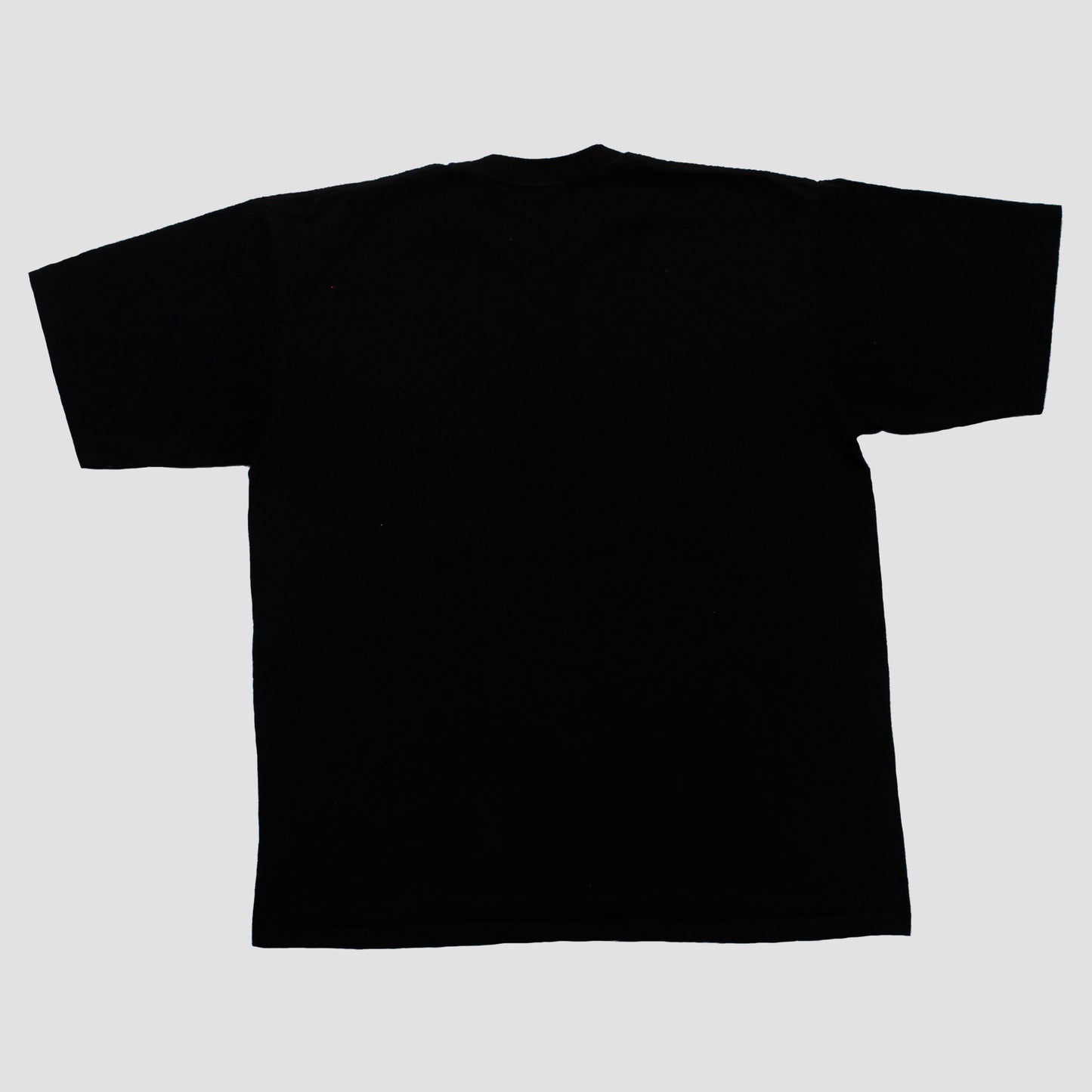 "haunted n burned..?//DEVILS NIGHT" Heavyweight Tee (L)