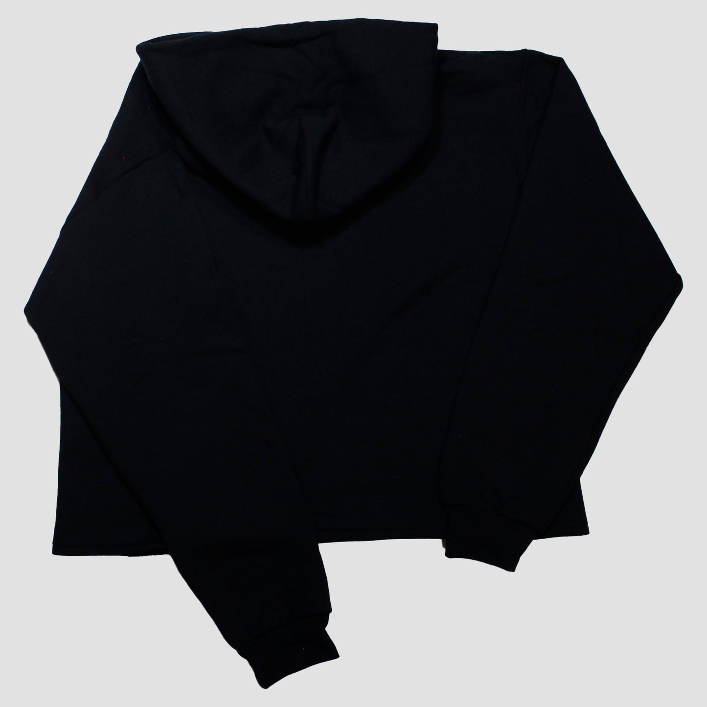 "PENNSYLVANIA EVENING NEWS//DIE LIKE DWYER" Cropped Hood (M)